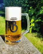 Pivo