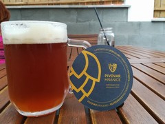 Pivo