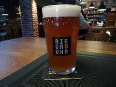 Pivo