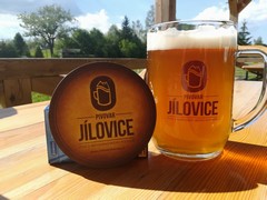 Pivo
