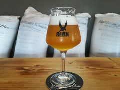 Pivo