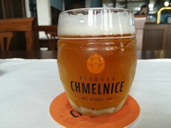 Pivo