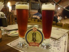 Pivo