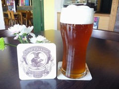 Pivo