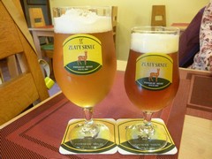 Pivo