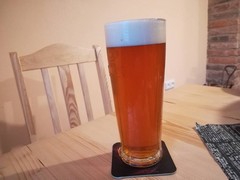 Pivo