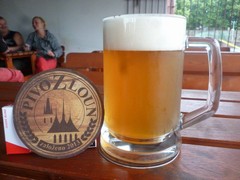 Pivo