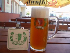Pivo