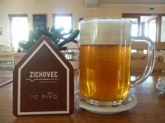 Pivo