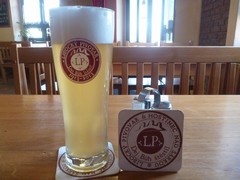 Pivo
