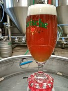 Pivo