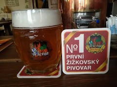 Pivo