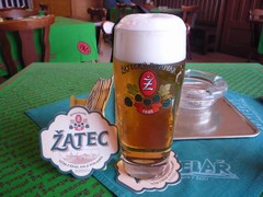 Pivo