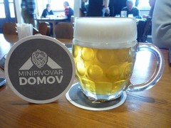 Pivo