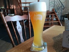 Pivo
