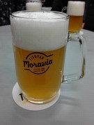 Pivo