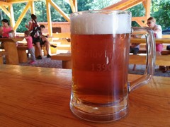 Pivo