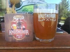 Pivo