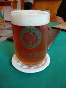 Pivo