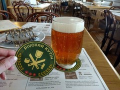 Pivo