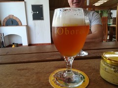 Pivo