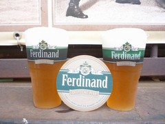 Pivo