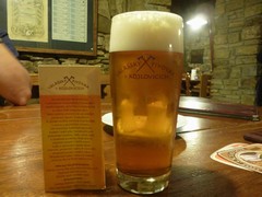 Pivo