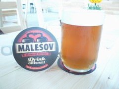 Pivo