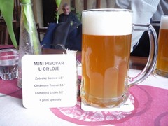 Pivo
