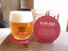 Pivo