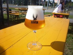 Pivo
