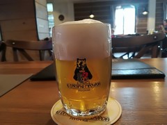 Pivo