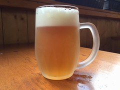 Pivo