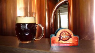 Pivo