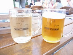 Pivo
