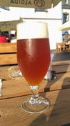 Pivo