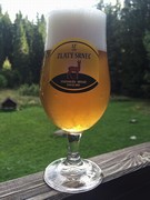 Pivo