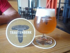 Pivo