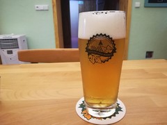 Pivo