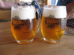 Pivo
