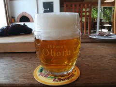 Pivo