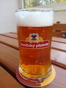 Pivo