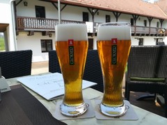 Pivo