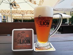 Pivo