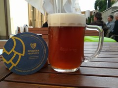 Pivo