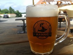Pivo