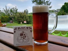 Pivo