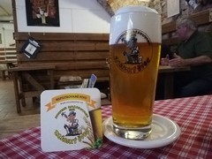 Pivo