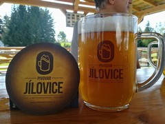 Pivo