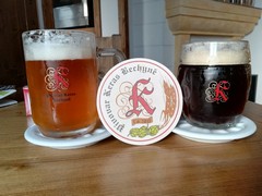 Pivo